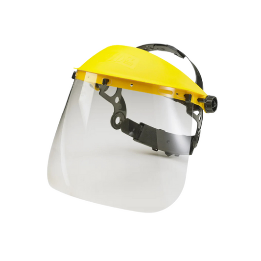 Face Visor